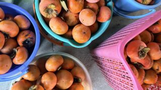 干し柿は「金星デトリメント」の象意である？